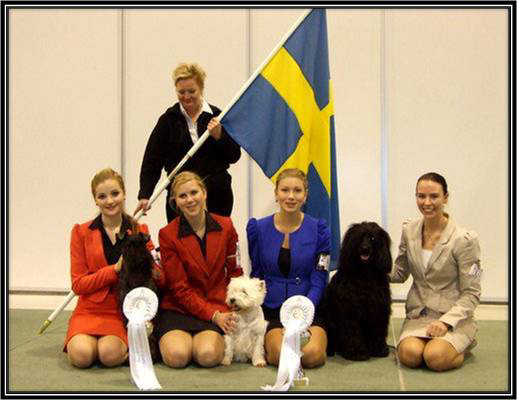 Dragongårdens Kennel